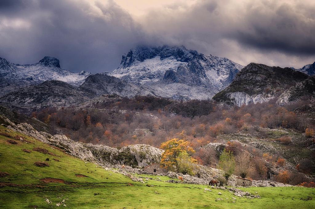 Penzion El Balcon De Onis La Robellada de Onis Exteriér fotografie