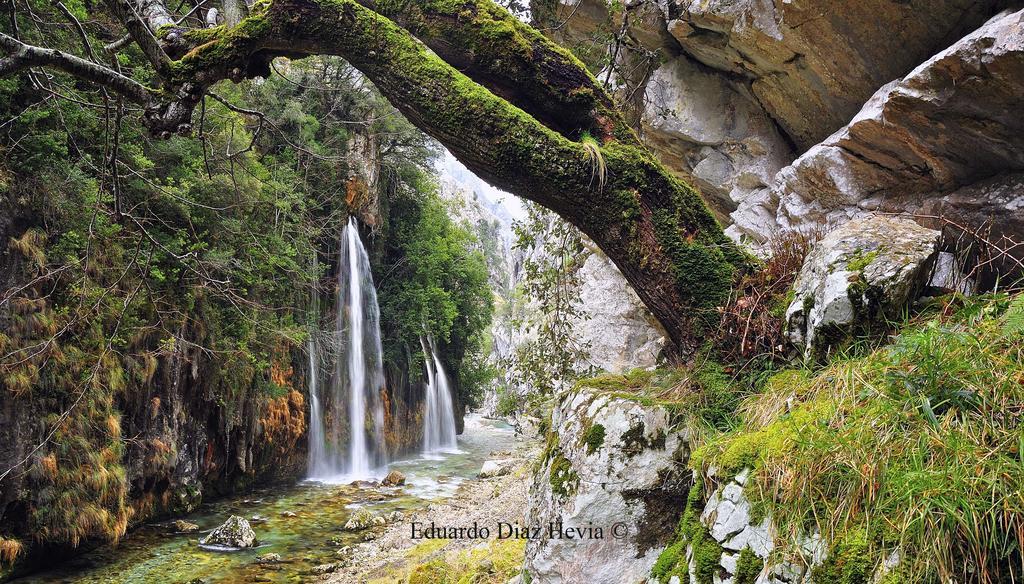 Penzion El Balcon De Onis La Robellada de Onis Exteriér fotografie